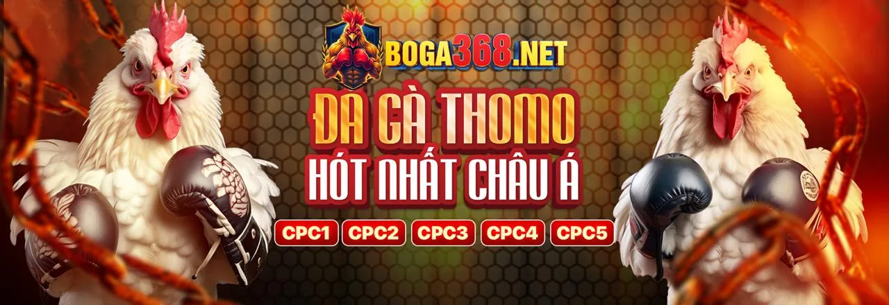 Đá gà trực tuyến kịch tính tại AXX88